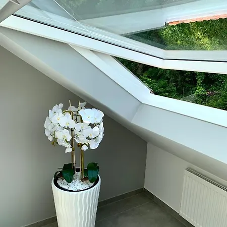 Wohlfuehloase In Koblenz Karthause Κόμπλεντς