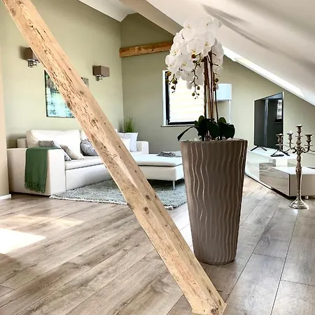 Wohlfuehloase In Koblenz Karthause Διαμέρισμα Κόμπλεντς